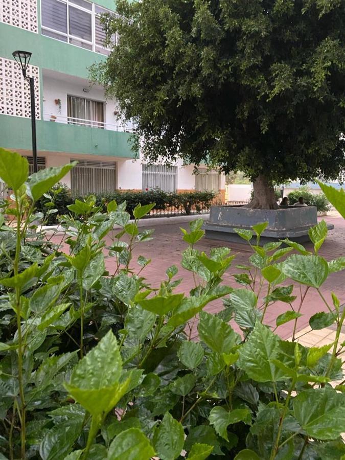Detail Aqua Apartment Puerto de la Cruz  Ngoại thất bức ảnh